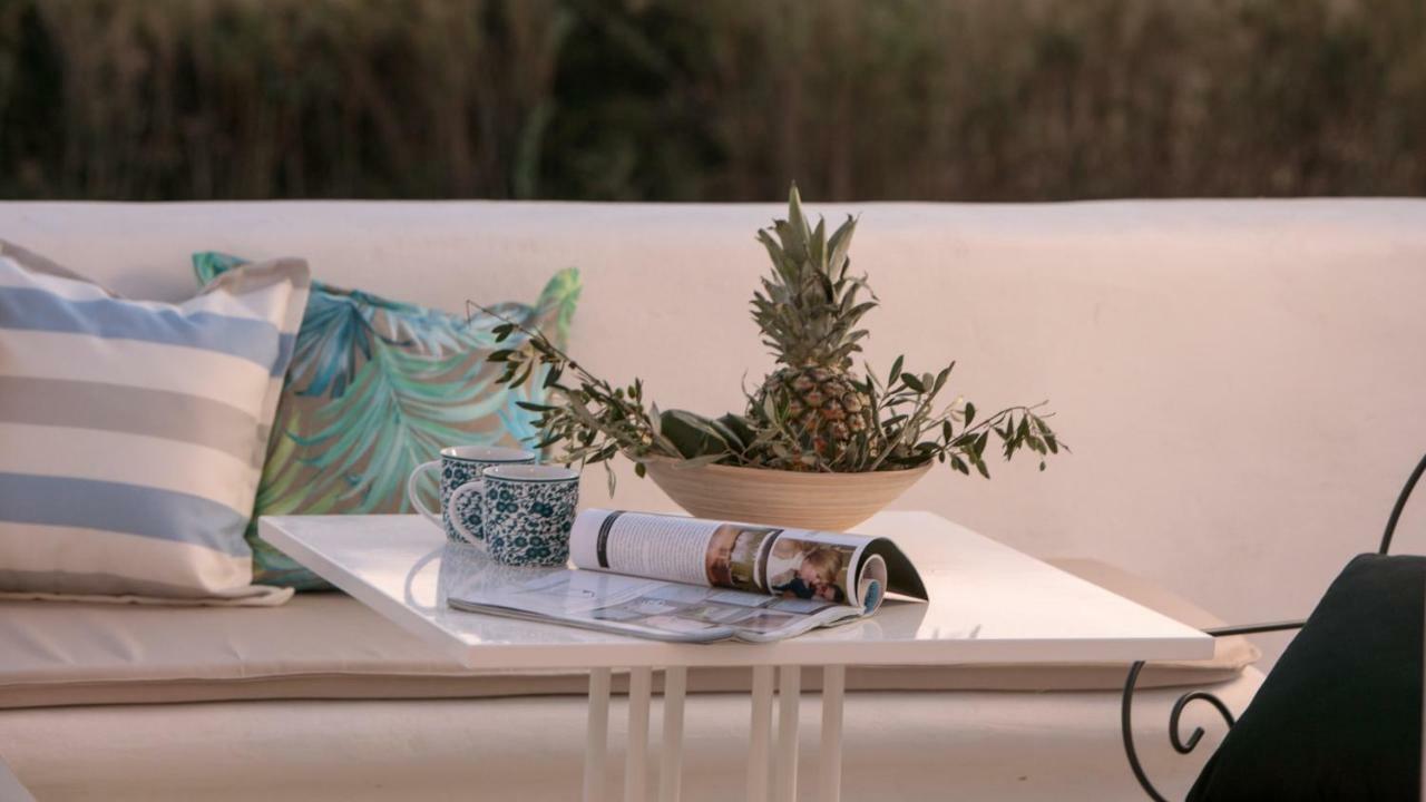 Villa Vaya Agia Anna  외부 사진